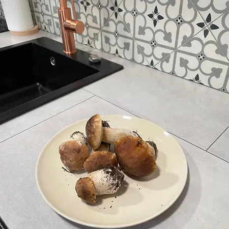 Cal Palaci Caserras