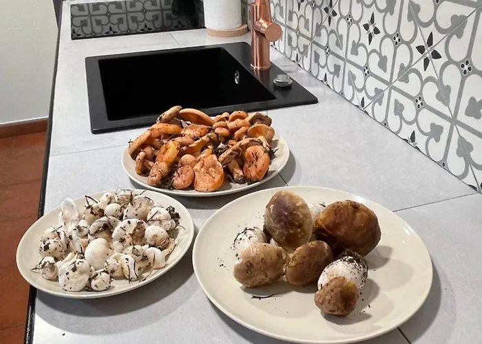 Cal Palaci * Caserras
