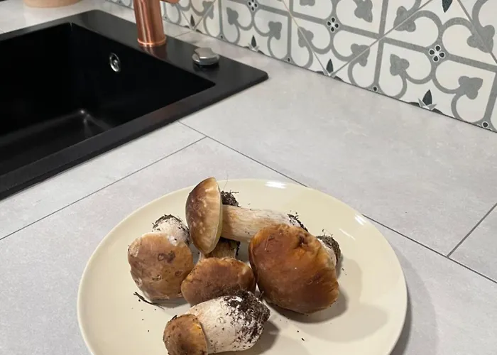 Cal Palaci Caserras